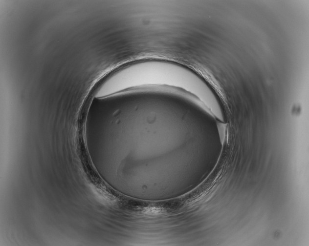 X0000098210204200805081142
