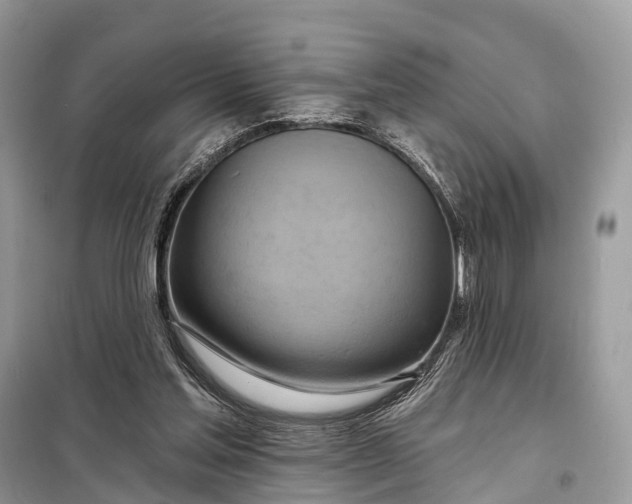 X0000098210205200805081142