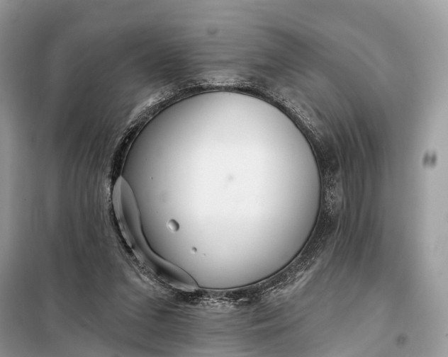 X0000098210207200805081142
