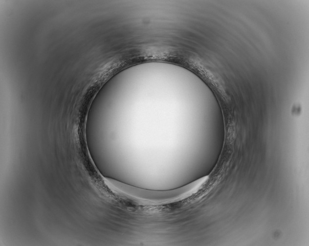 X0000098210209200805081142