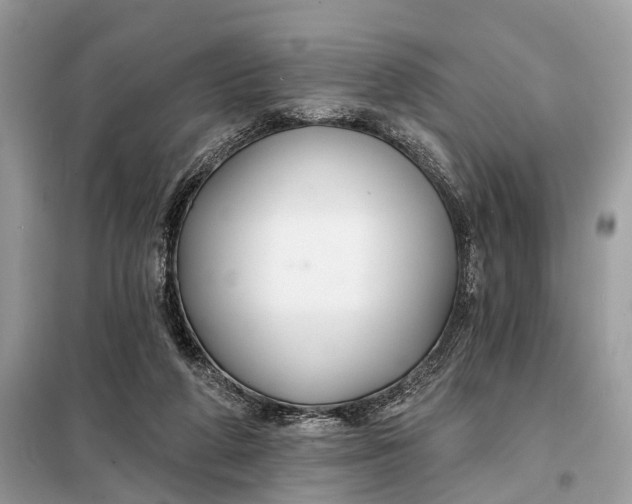 X0000098210210200805081142