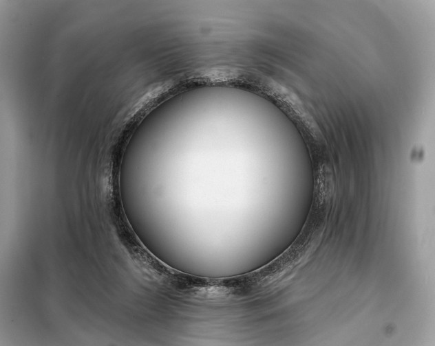 X0000098210212200805081142