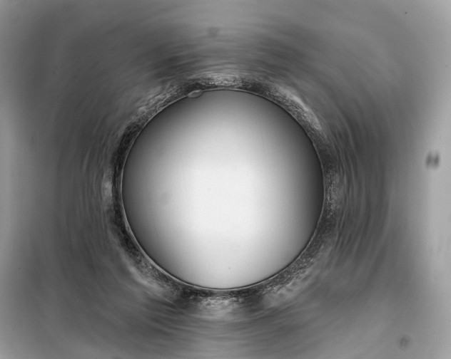 X0000098210213200805081142