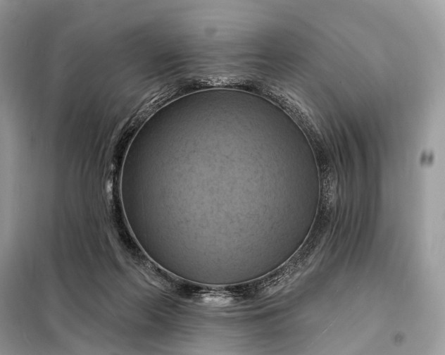 X0000098210214200805081142