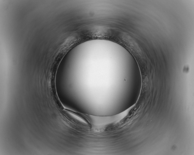 X0000098210217200805081142