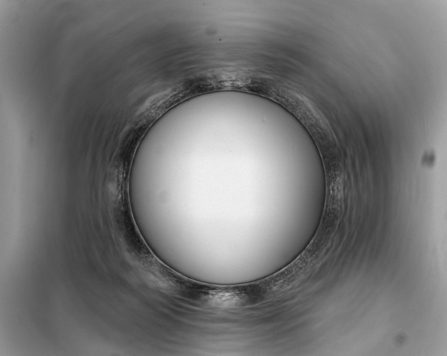 X0000098210218200805081142