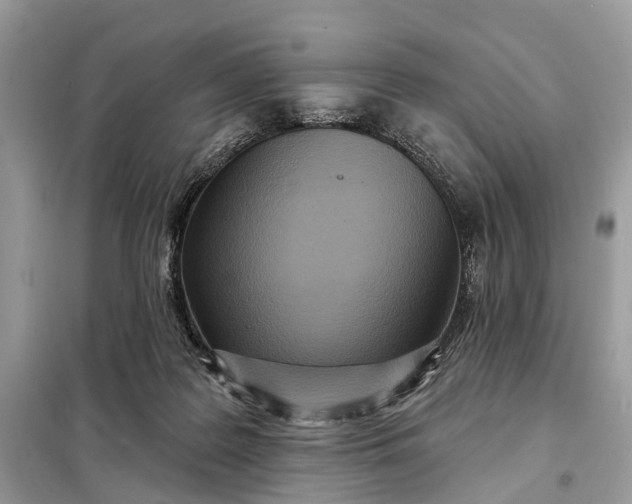 X0000098210219200805081142