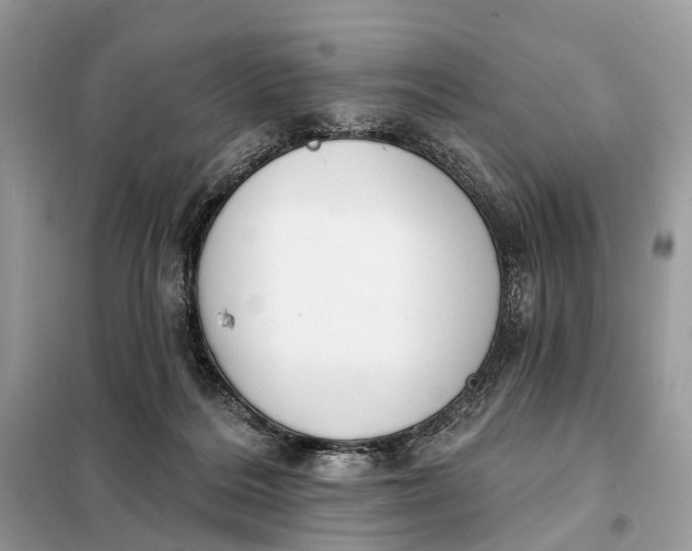 X0000098210220200805081142