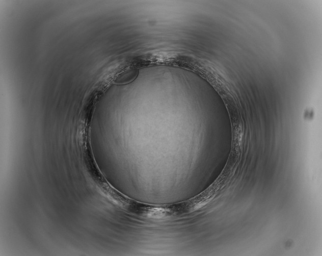 X0000098210222200805081142