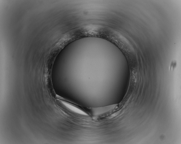 X0000098210223200805081142