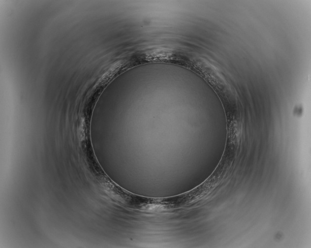 X0000098210224200805081142