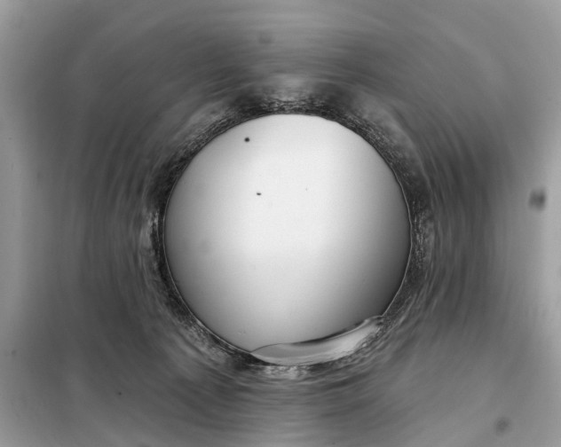 X0000098210225200805081142