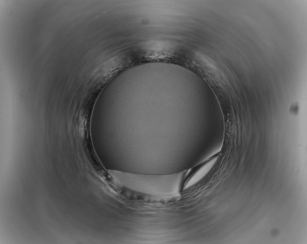 X0000098210227200805081142