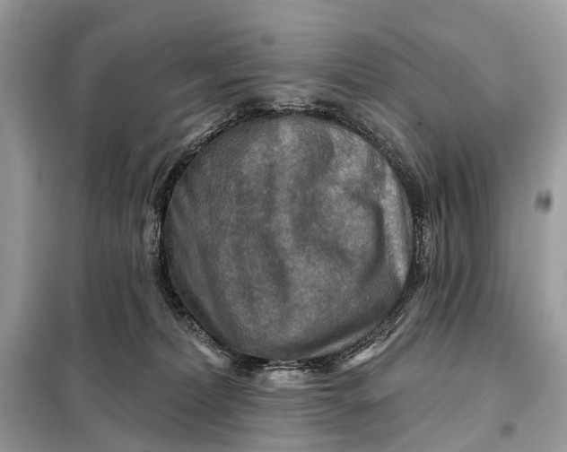 X0000098210228200805081142
