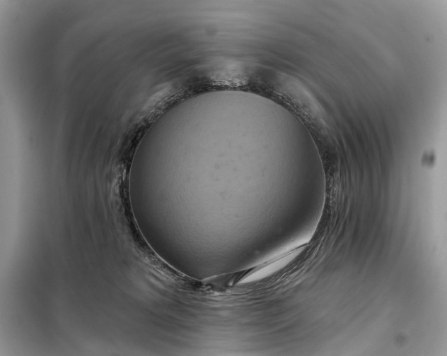 X0000098210229200805081142