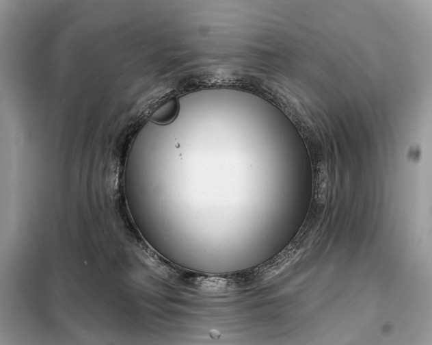 X0000098210230200805081142