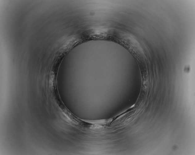 X0000098210231200805081142