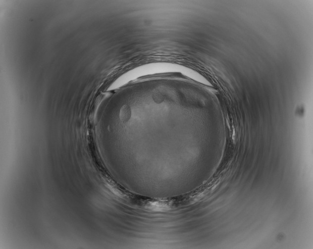 X0000098210232200805081142