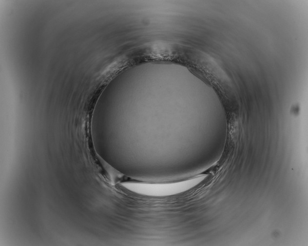 X0000098210233200805081142