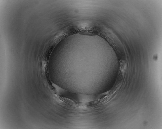 X0000098210235200805081142