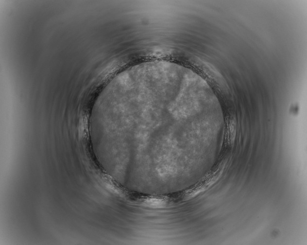 X0000098210236200805081142