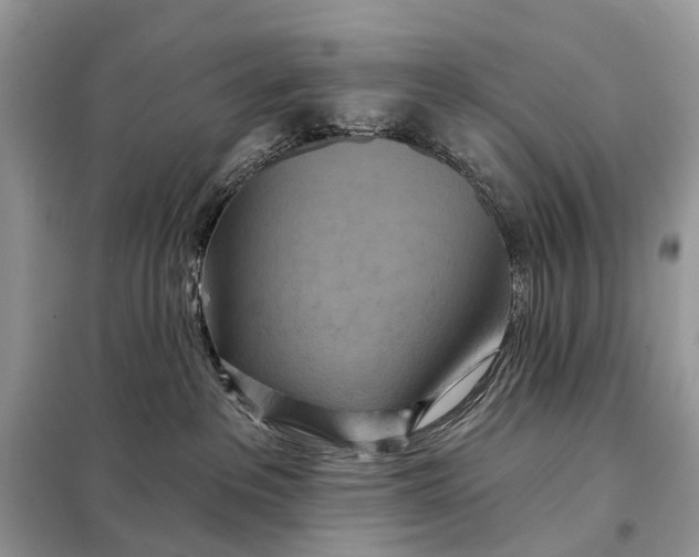 X0000098210237200805081142