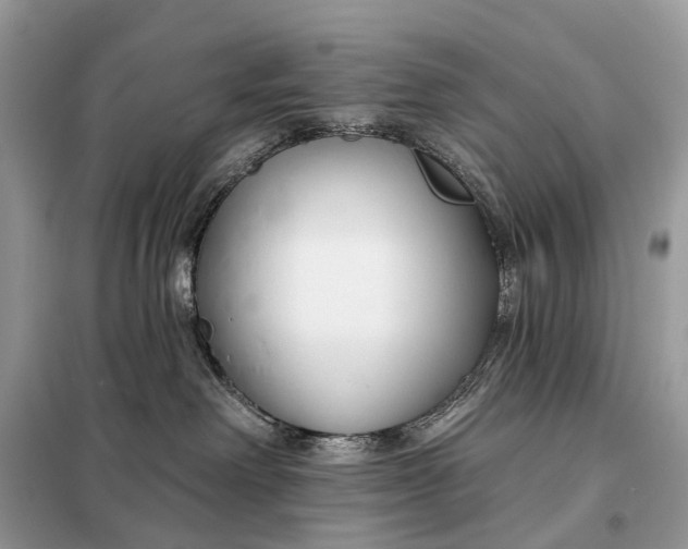 X0000098210238200805081142
