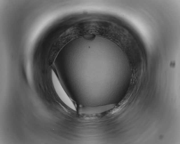 X0000098210239200805081142