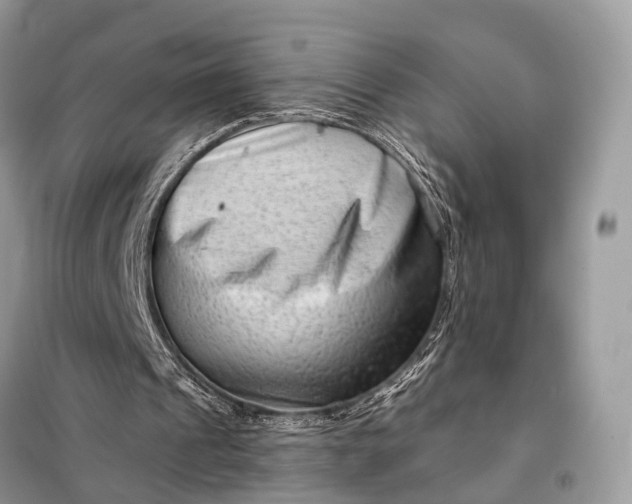 X0000098210241200805081141