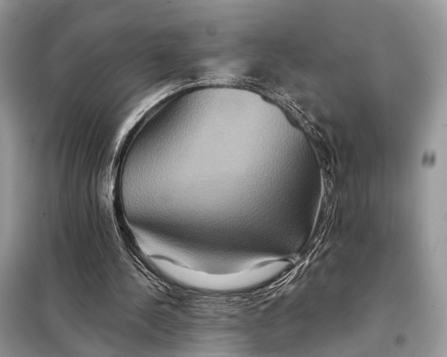 X0000098210244200805081141