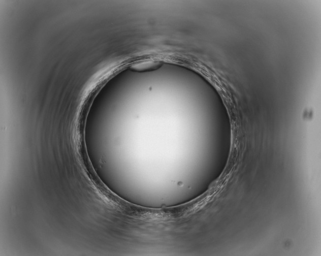 X0000098210245200805081141