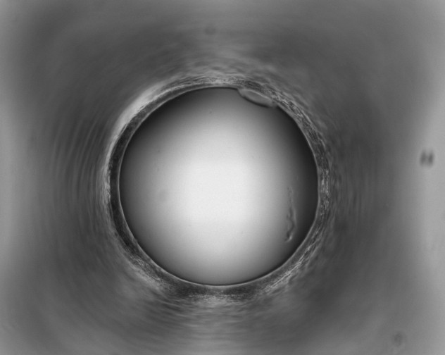 X0000098210246200805081141