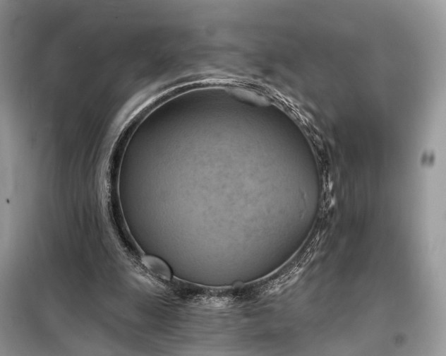 X0000098210247200805081141