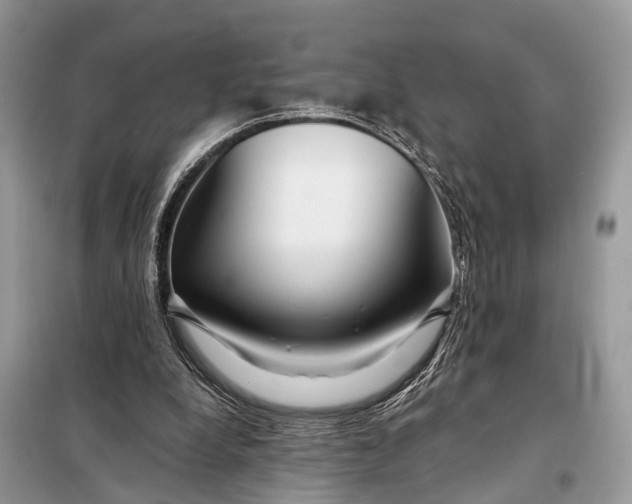 X0000098210248200805081141