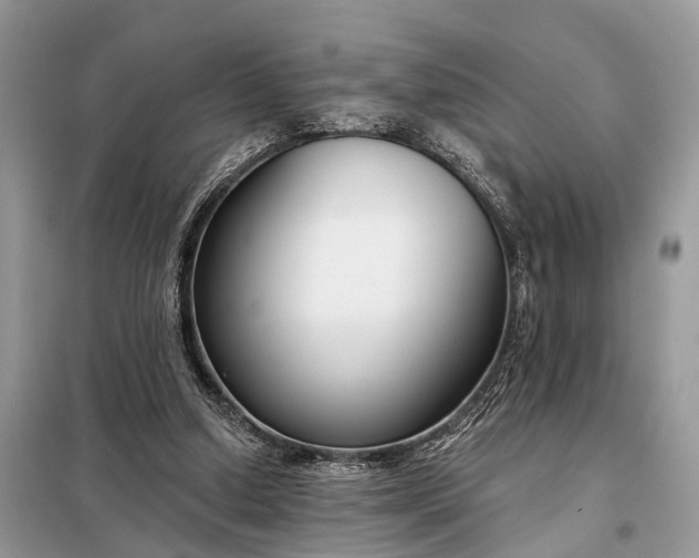 X0000098210250200805081141