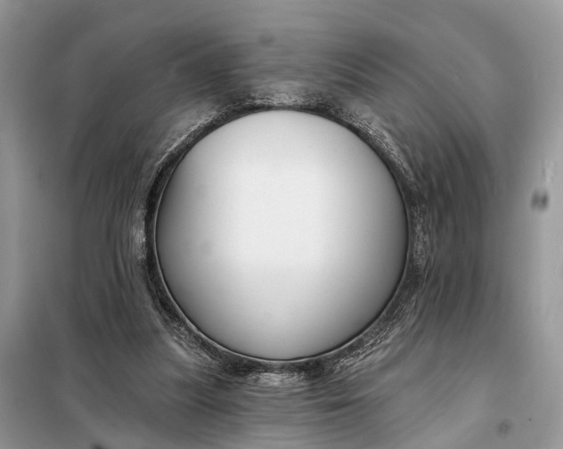 X0000098210251200805081141