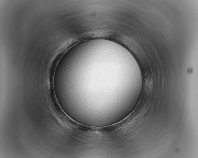 X0000098210254200805081141