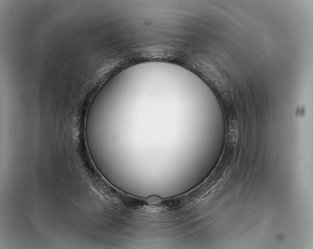 X0000098210255200805081141