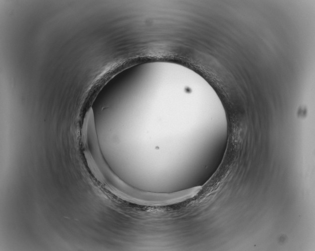 X0000098210256200805081141