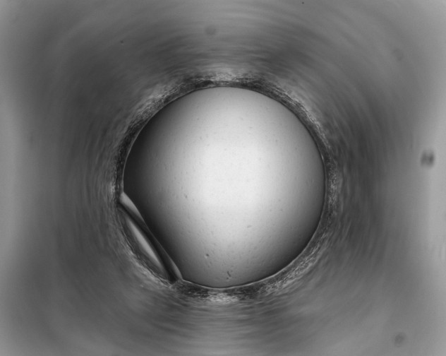 X0000098210257200805081141