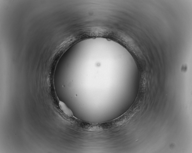 X0000098210258200805081141