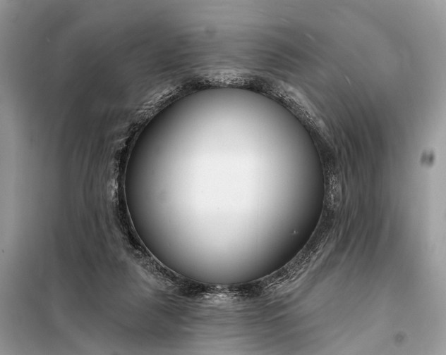 X0000098210259200805081141
