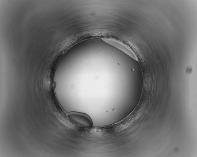 X0000098210261200805081141