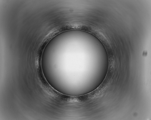 X0000098210262200805081141