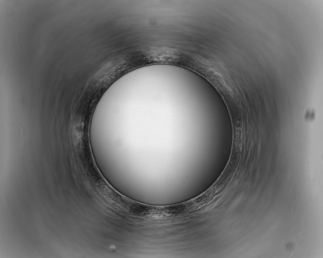 X0000098210263200805081141