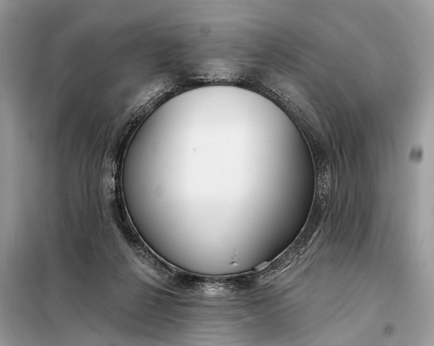 X0000098210264200805081141