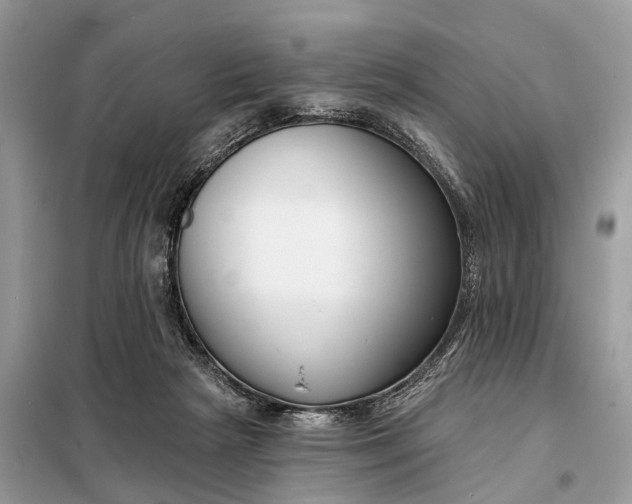 X0000098210265200805081141