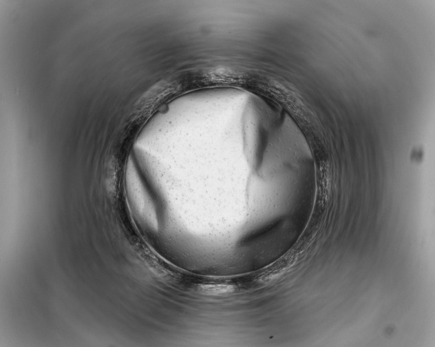 X0000098210266200805081141