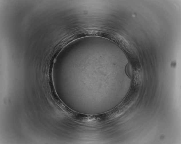X0000098210267200805081141