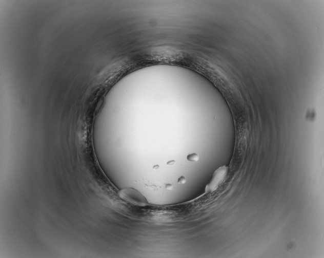 X0000098210268200805081141